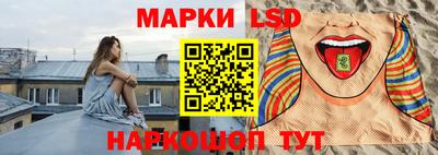 стафф Гатчина