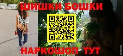 стафф Гатчина