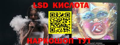 стафф Гатчина