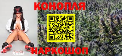 стафф Гатчина