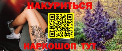 стафф Гатчина