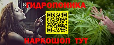 стафф Гатчина