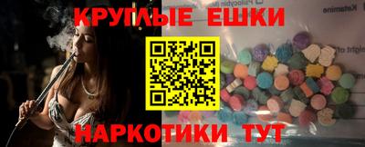 стафф Гатчина