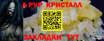 стафф Гатчина