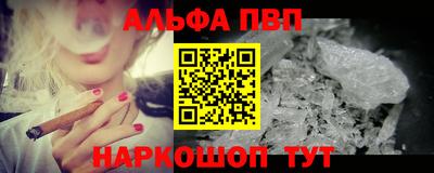 стафф Гатчина