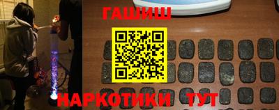 стафф Гатчина