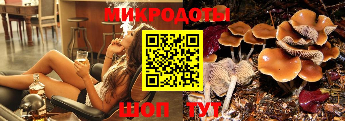 Галлюциногенные грибы мухоморы Ефремов