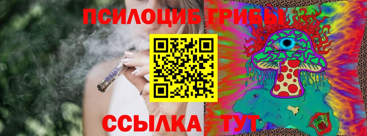 Ефремов  Галлюциногенные грибы ЛСД  Вход с VPN  Галлюциногенные грибы Psilocybine cubensis 